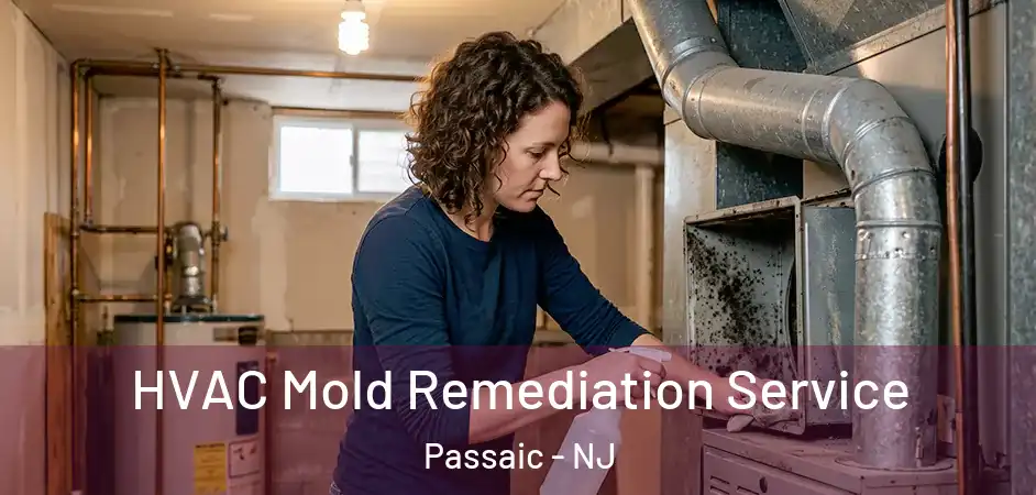 HVAC Mold Remediation Service Passaic - NJ